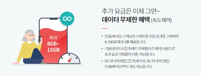 시니어 베이식(만 65세 이상)