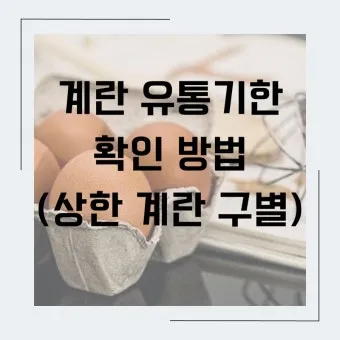 유통기한 구분 소비기한 품질유지기한 보관온도 버리는 기준_7