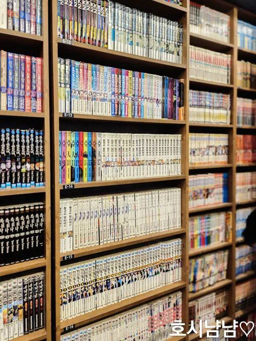 하남 냥이툰 순정 만화책 코너