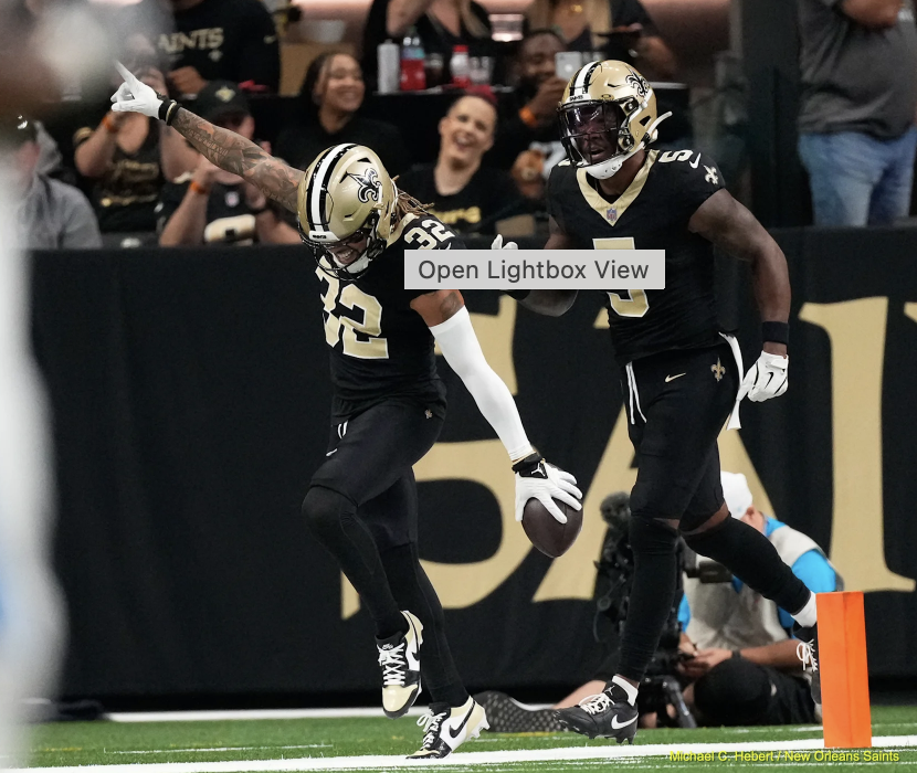 뉴올리언스 세인츠 디펜스