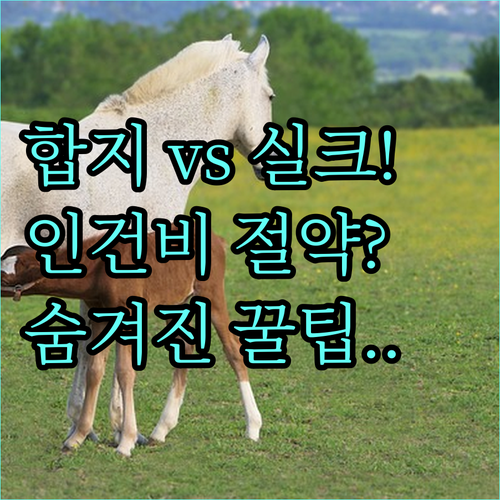 합지 vs 실크벽지 선택 기준 김해도..