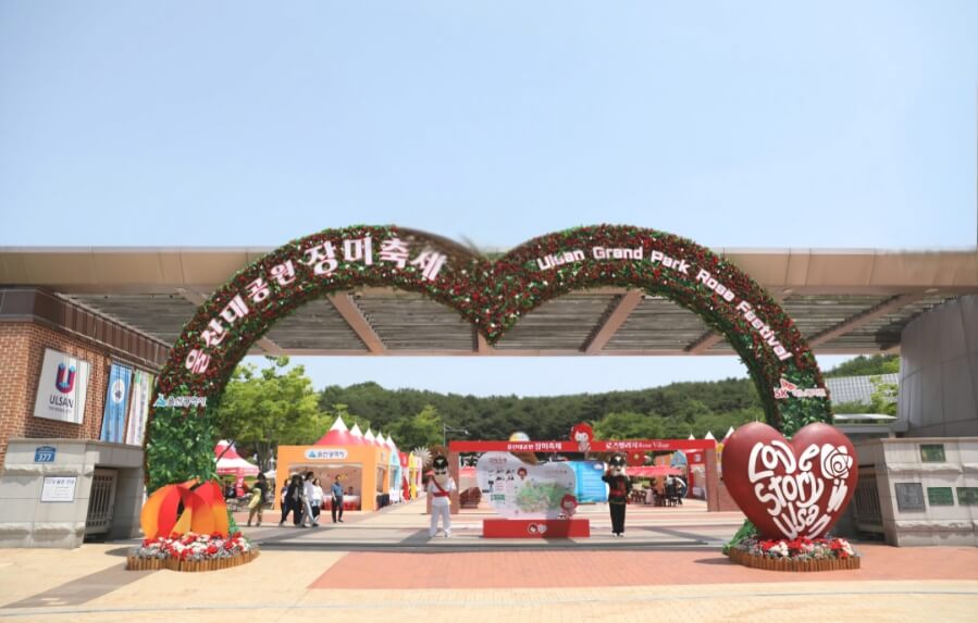 2025년 울산대공원 장미축제: 300만 송이의 장미 향연