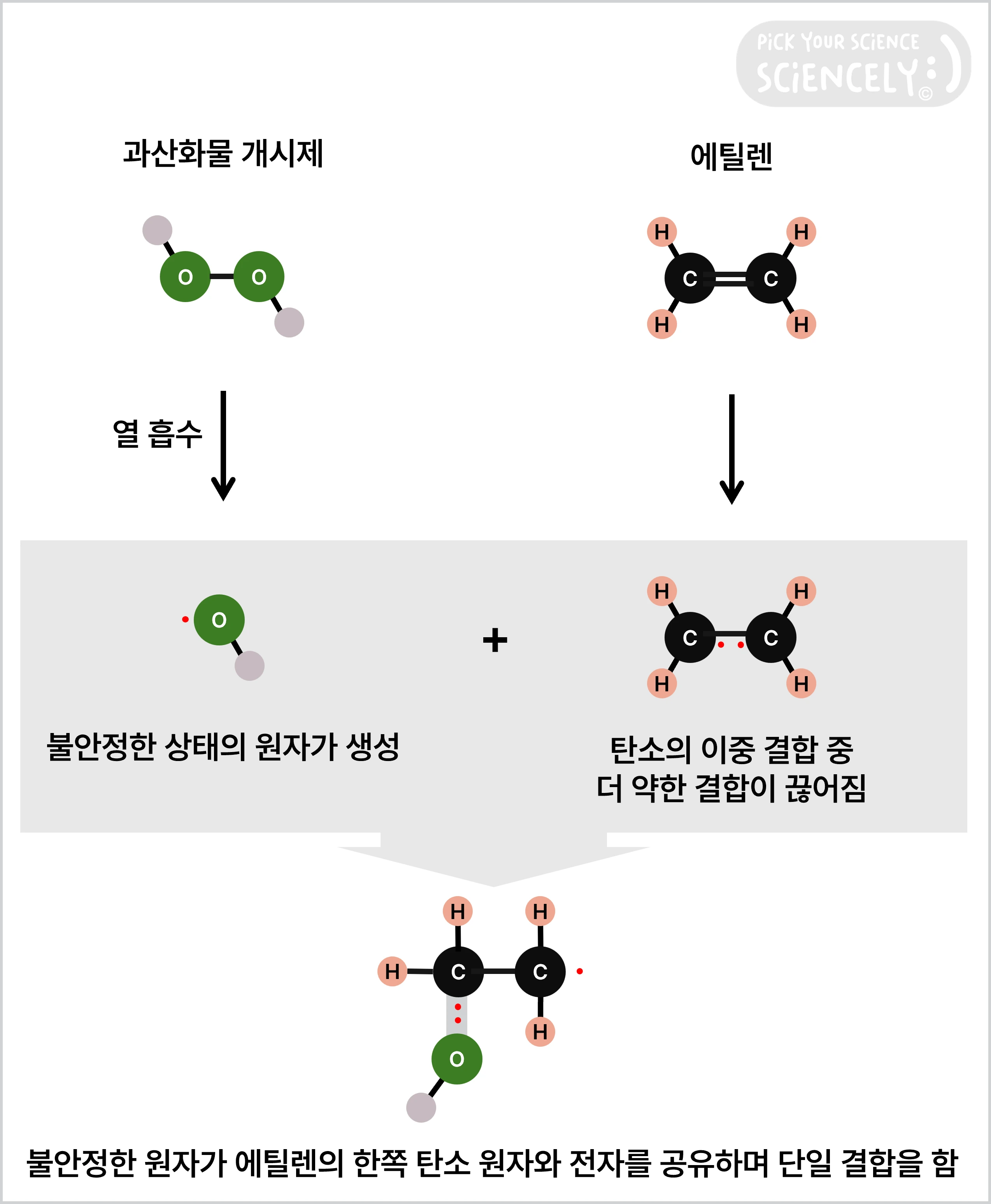 폴리에틸렌 형성 과정, 개시(initiation), 과산화물 개시제, 과산화물 라디칼, 에틸렌, 사슬 구조