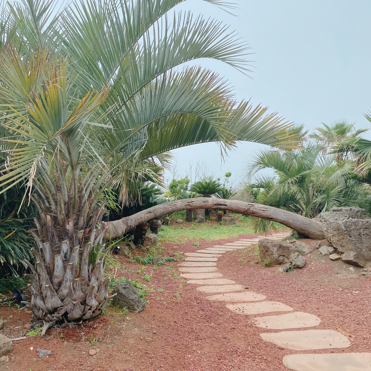 제주 서귀포 대정 서림연대 인스밀 곡물창고 개조카페 in's mill 보리개역 보리 청보리 제주 특산물