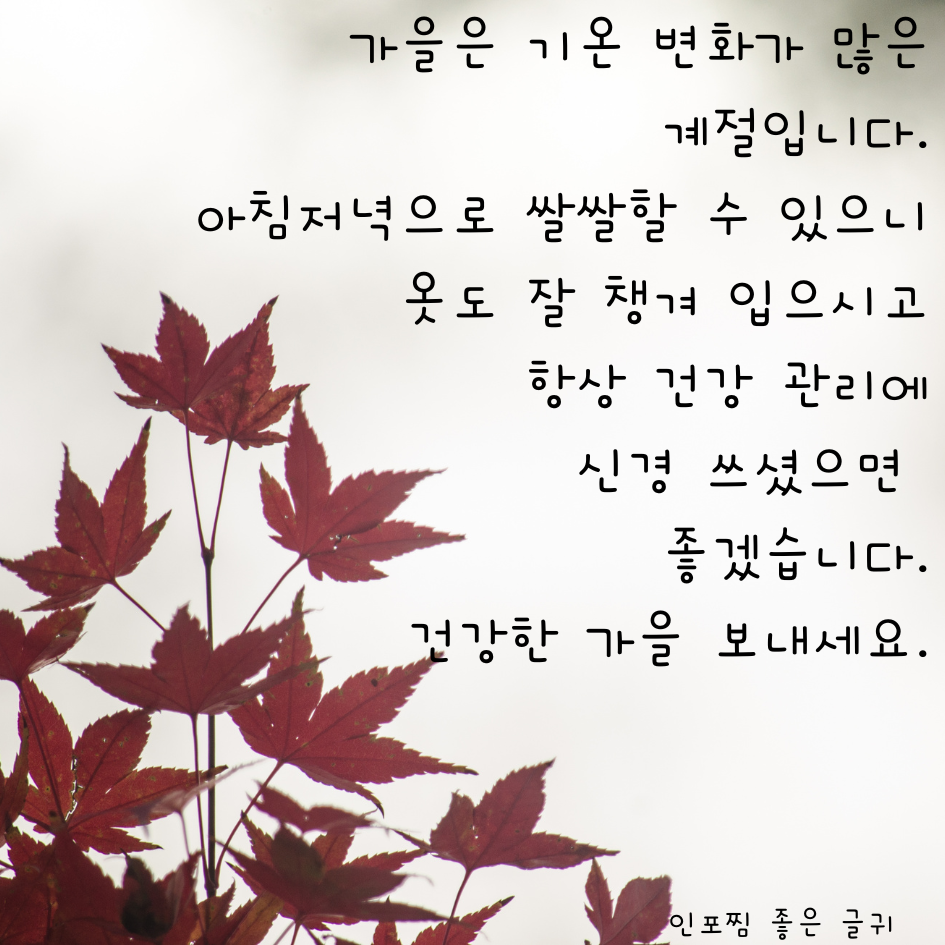 가을 인사말 문구 이미지 모음집 가을 아침 인사말 안부 메세지 모음