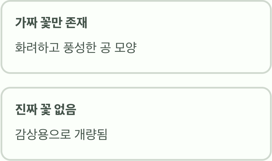 불두화 꽃, '가짜 꽃'만 남아있다