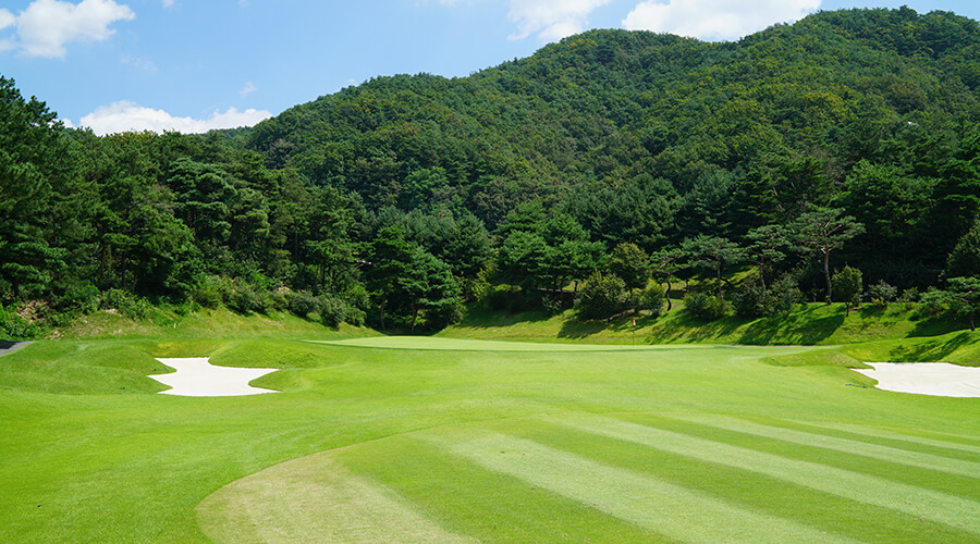 스카이밸리 cc 코스