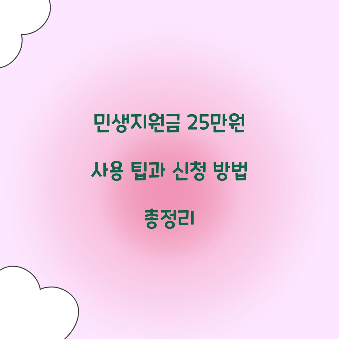 민생지원금 25만원