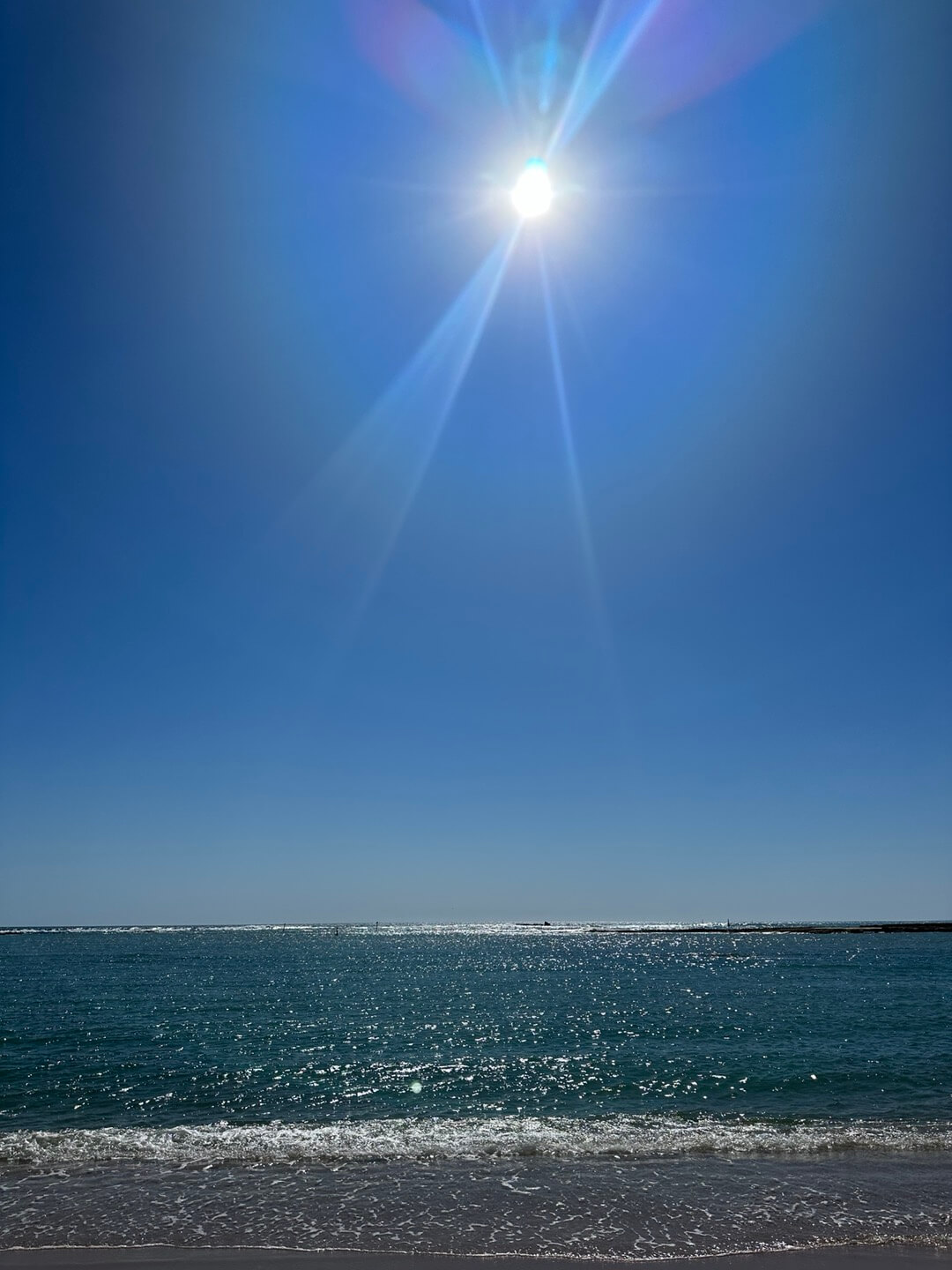 호주 퍼스 여행정보, 쿼카 로트네스트 섬, 칼바리 피나클스 투어