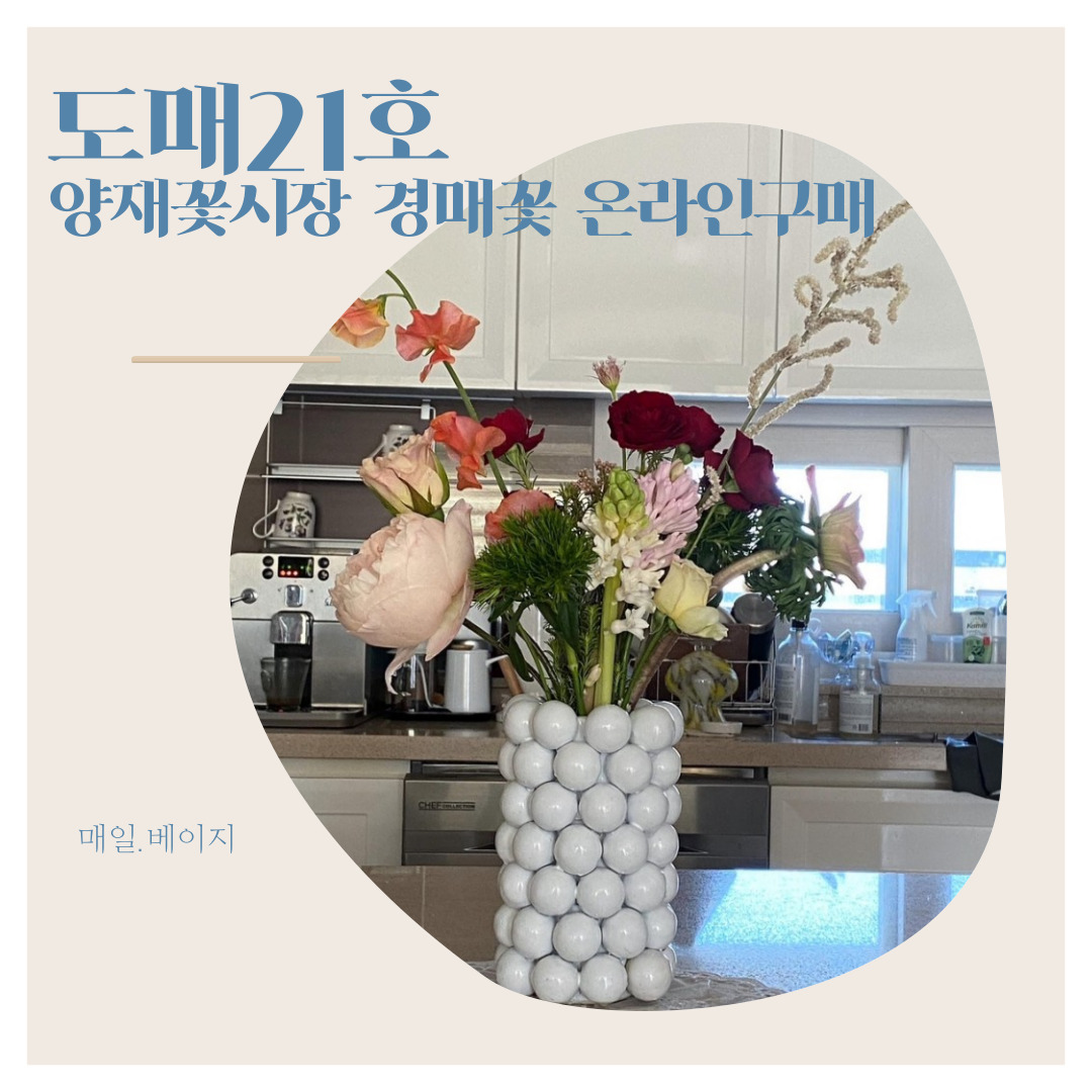 도매21호