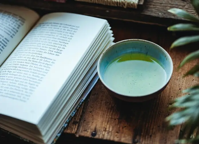 독서가 사고력을 근본적으로 바꾸는 이유