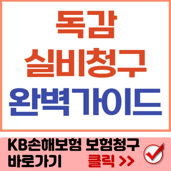 독감 실비 청구 완벽가이드 썸네일