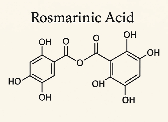 체지방 태우는 성분 TOP 5 – 과학적으로 검증된 다이어트 성분은?