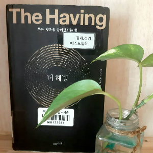 더해빙