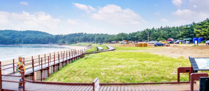 생방송오늘저녁 충남 태안 신박한 네바퀴 여행 여섯 식구도 거뜬 45인승 버스 캠핑카 오토 캠핑장 추천