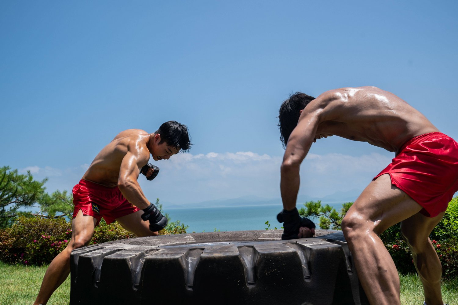 [넷플릭스 드라마 추천] 사냥개들 몇부작, 원작 웹툰, 줄거리 결말, 등장인물 우도환 이상이 김새론(현주 역)