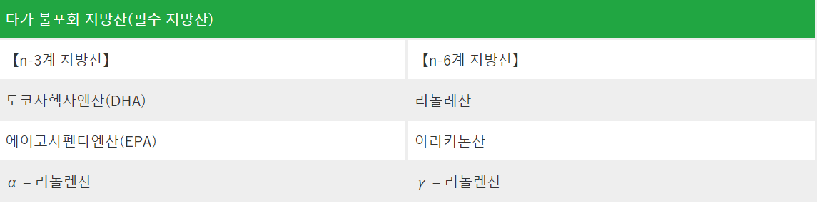필수지방산