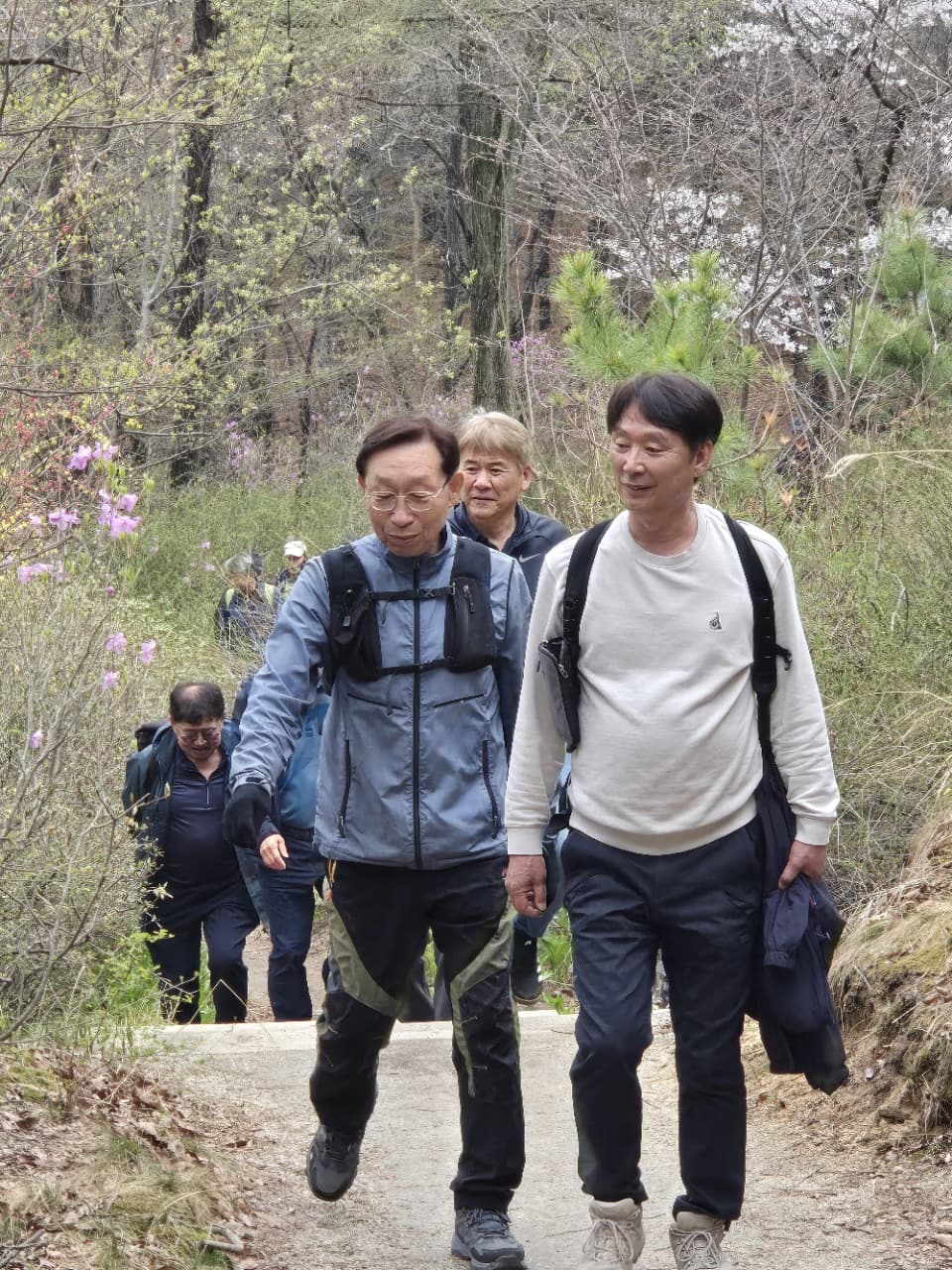 호암산 숲길 &ndash; 걷기 좋은 코스