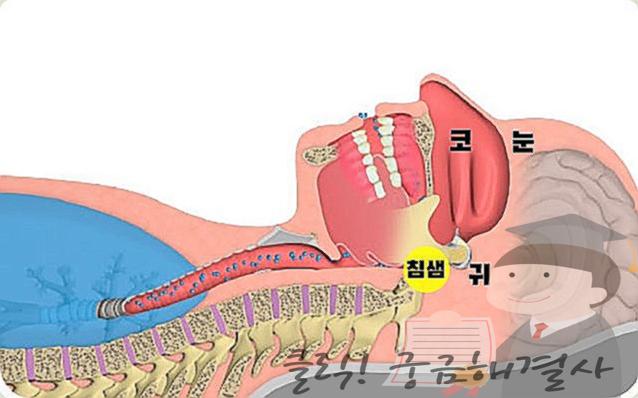 턱 밑 멍울