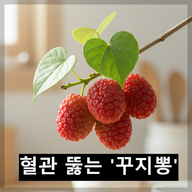 붉은 꾸지뽕 열매와 잎차