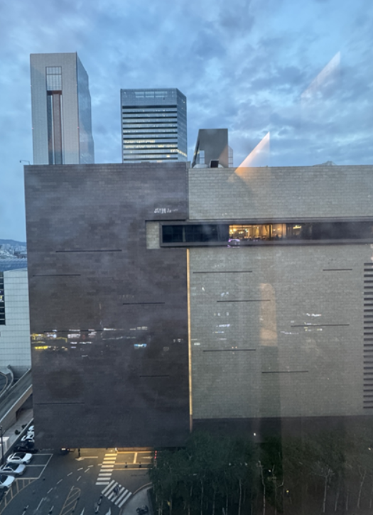 [호텔 페이토] 코엑스 놀거리가 코앞인 가성비 호텔 봄 패키지 상품 이용후기