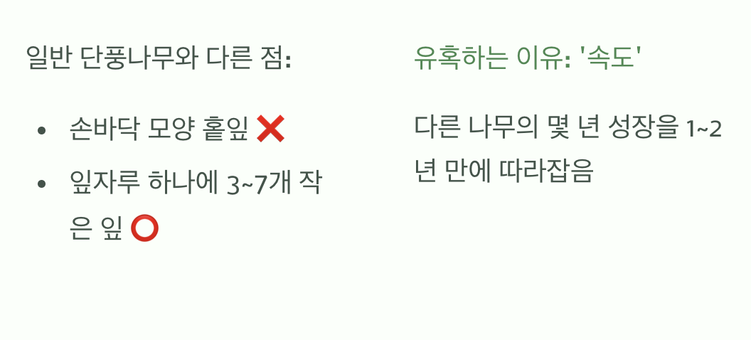 겉모습에 속지 마세요