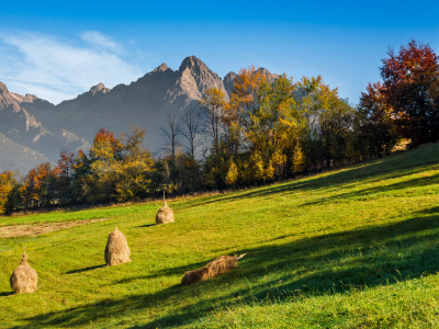 농지연금 조건 및 신청방법 수령액 총정리