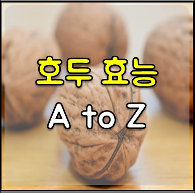 호두 효능 01