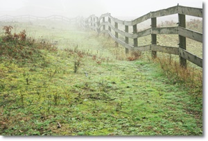 제습기 추천 가격 비교 원리 효과 2024