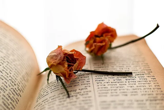 히브리서 12장 1절 묵상 - 이러므로 우리에게 구름 같이 둘러싼 허다한 증인들이 있으니_4