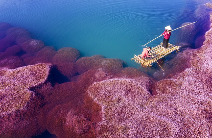1월27일 임시공휴일 확정 여행지 추천