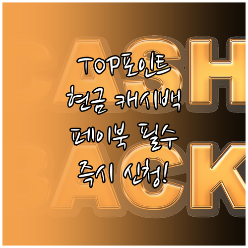 페이북 앱 BC카드 TOP 포인트 현..