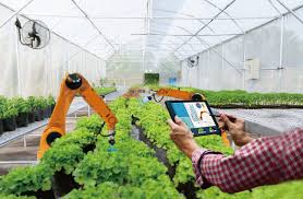 농민수당 자격 확인