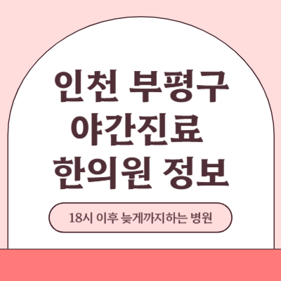 인천 부평구 야간진료 한의원 병원 (18시 이후 늦게까지하는 병원)