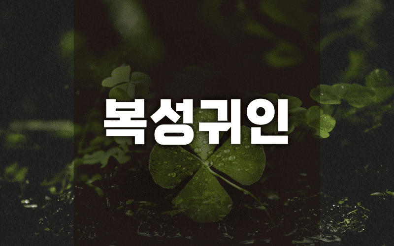 복성귀인 썸네일