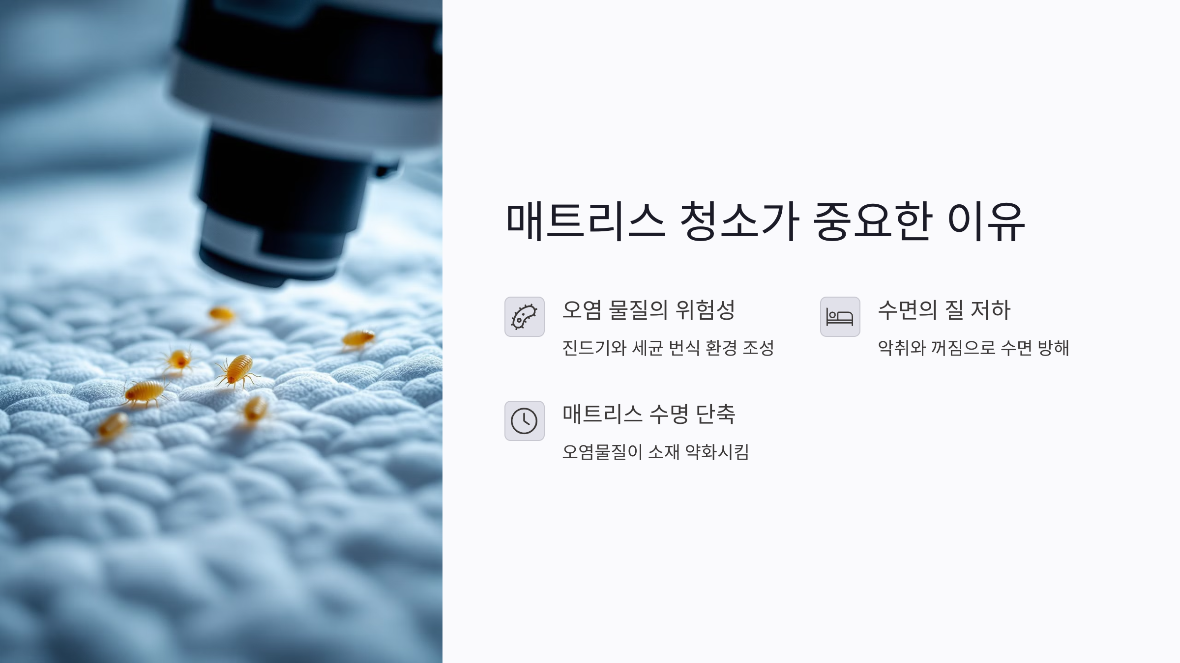 매트리스 청소가 왜 중요한가