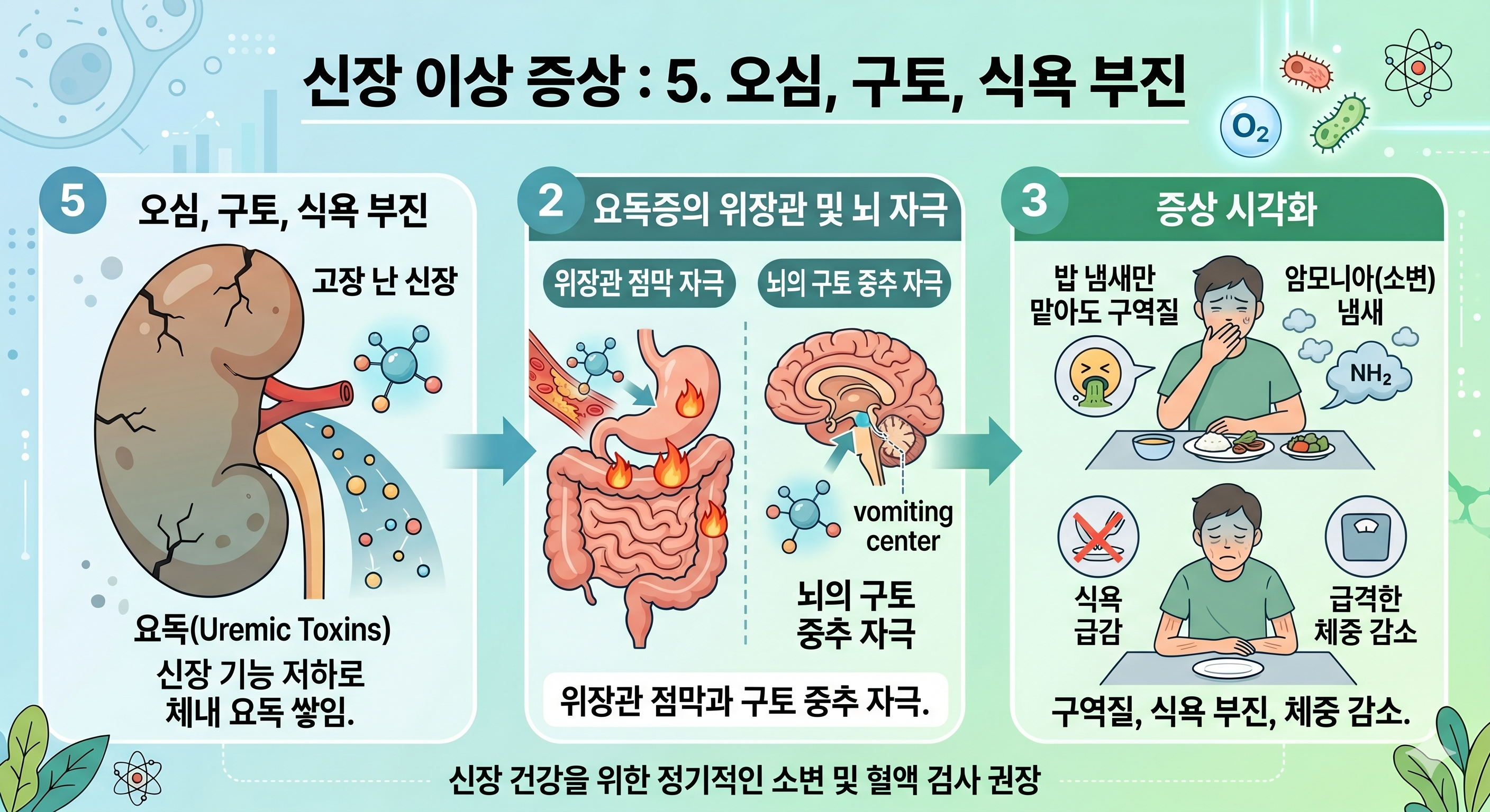 신장 이상으로 요독이 쌓이면 오심, 구토 유발