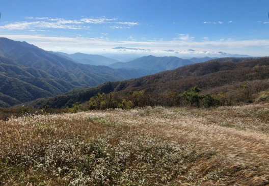 2025 장안산 단풍 시기&등산코스 안내|전북 장수 단풍 명소 Best