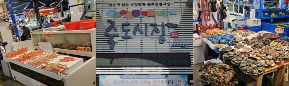 생생정보통 오늘방송(3월 27일) 포항 호미곶,죽도시장,연일개미집,예스요가,포항운하문보트