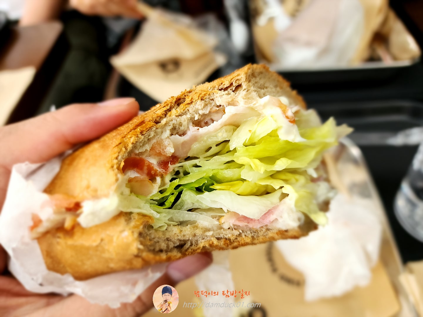 더블베이컨 + 휘트