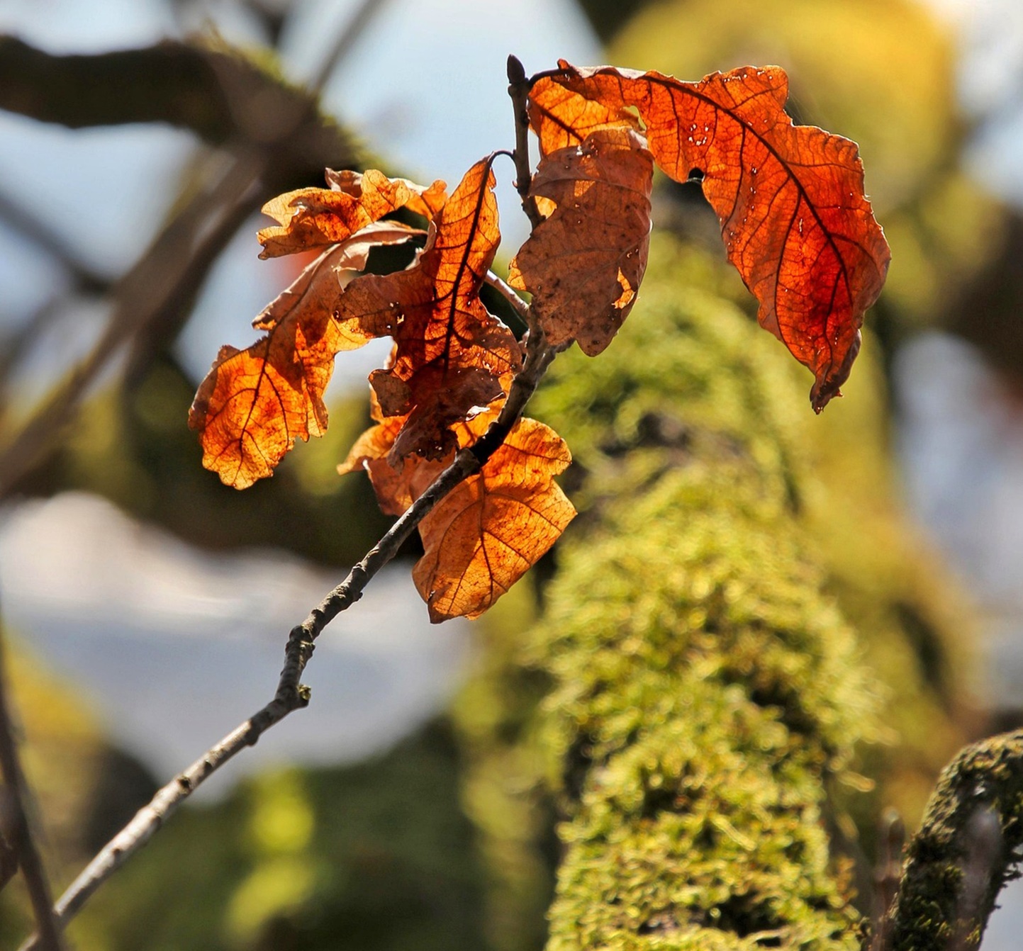 기후 재난은 ‘이사’가 아니라 ‘탈출’을 만든다