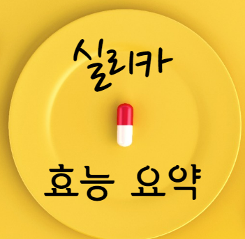 실리카 효능 요약