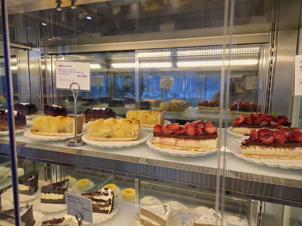 송도 웁스어데이지