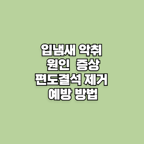 입냄새 악취 편도 결석 원인, 증상, 제거 및 예방 방법