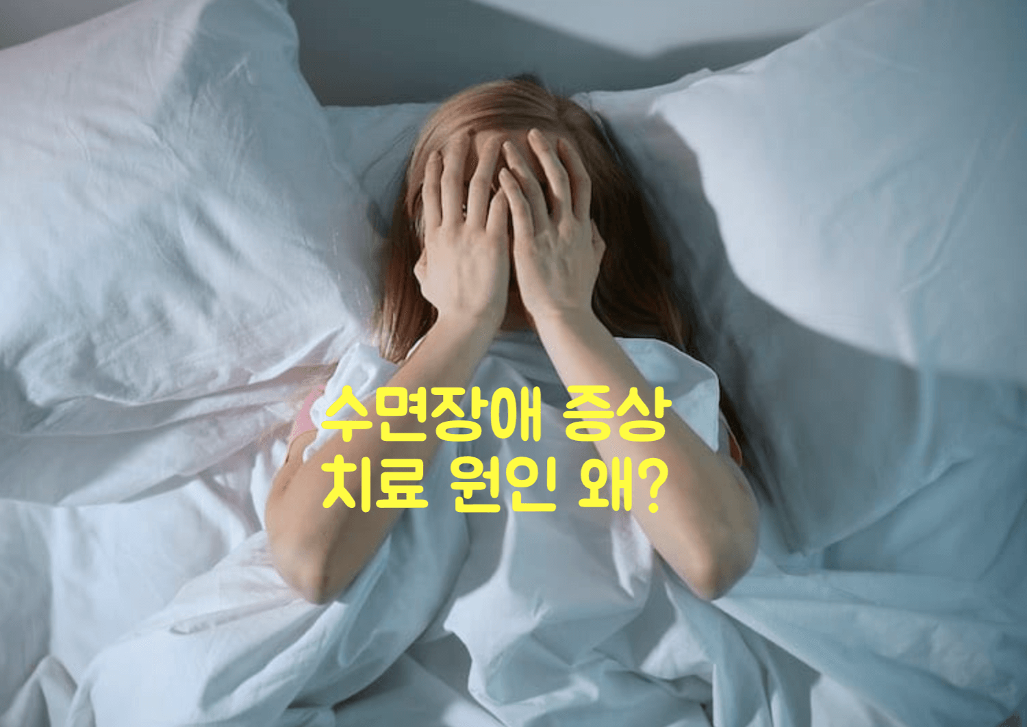 수면장애