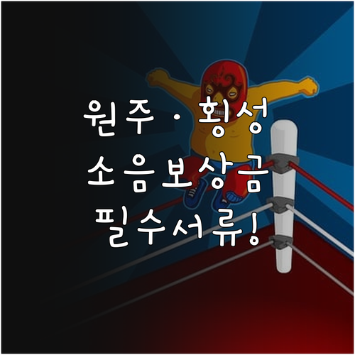 원주 횡성 군용비행장 소음 피해보상금..