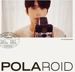 임영웅 콘서트 일정 도시별 공연 비교 분석