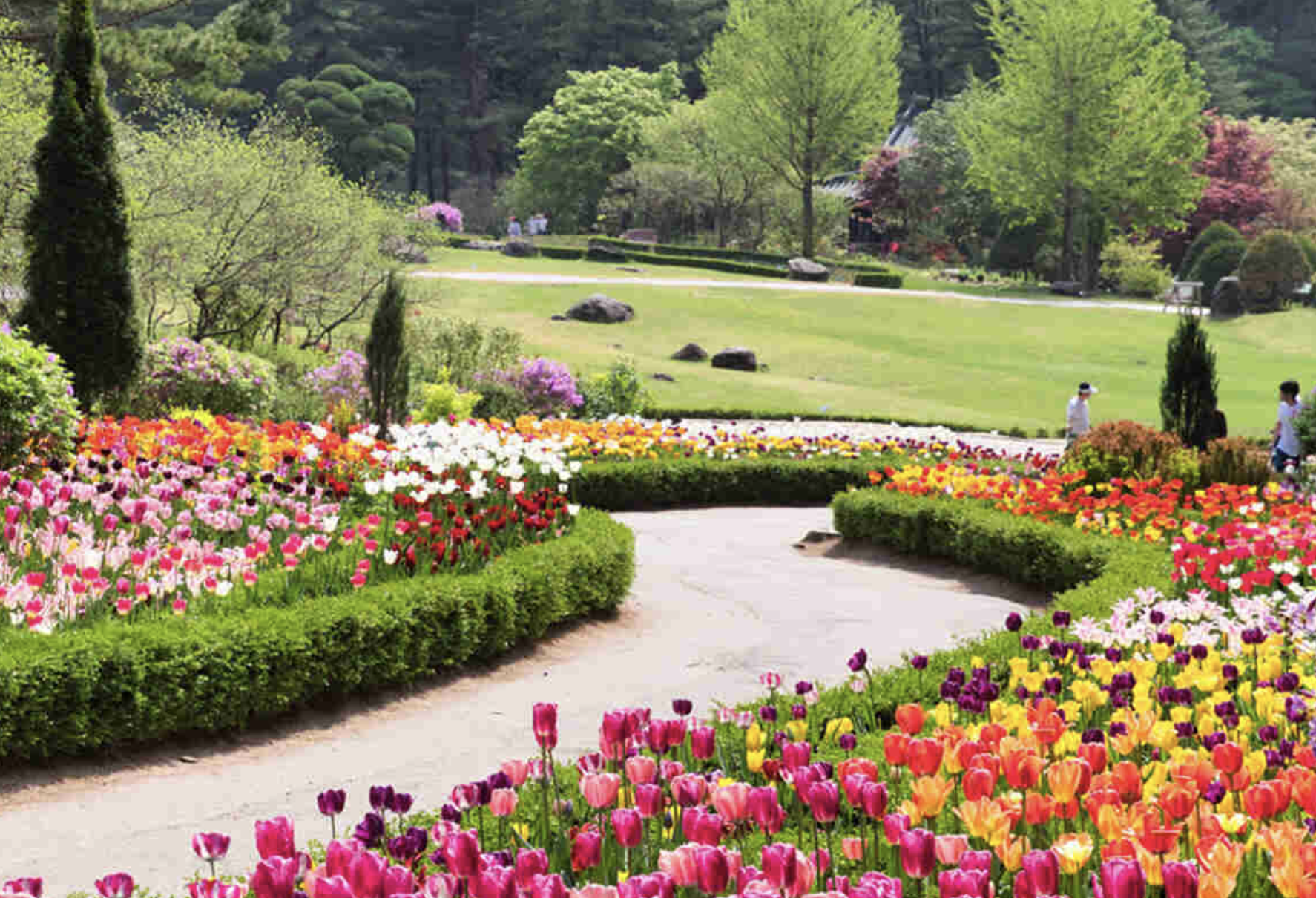 2025 봄꽃 페스타, 봄꽃 페스타 기존정보