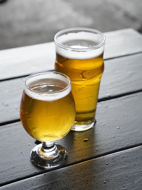 2024년 2025년 대전 비어위크 맥주축제 특이하누 한우축제 