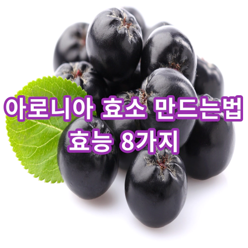 아로니아-효소-만드는법-및-효능